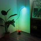 Edward Visage Rgb Floor Lamp - view 2