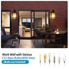4-Light Black Outdoor Wall Light (No Bulbs) - view 5